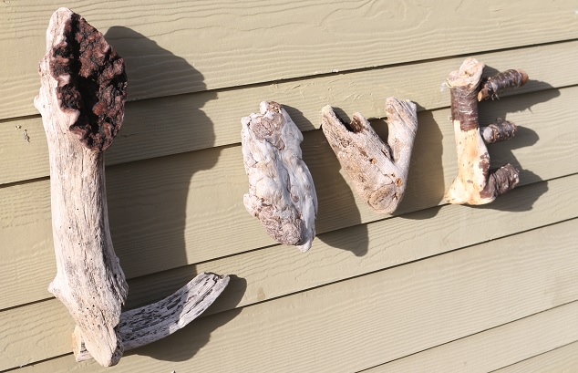 coeur_photo Edith Gaudy_4